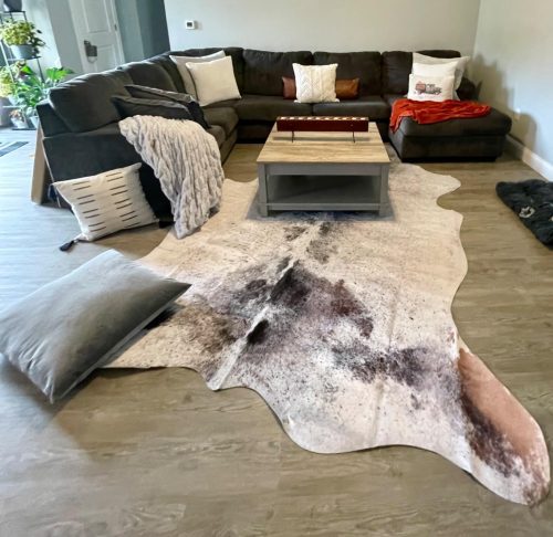 Living room ruined by a too-small rug