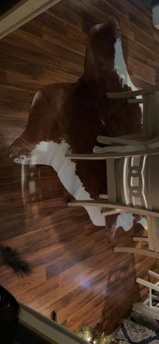 Brown and White Cow Skin Rug for Office, Bedroom, Living Room, Brown and White Cow Shaped Area Rug Western Decor photo review